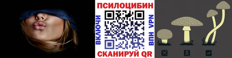 кракен зеркало  купить наркотики цена  Нюрба  Галлюциногенные грибы Cubensis 