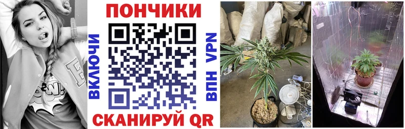 Бошки Шишки сатива  Нюрба 
